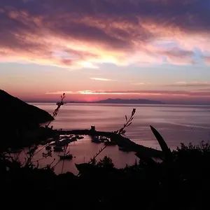 Agave Marciana Marina (Isola d'Elba)